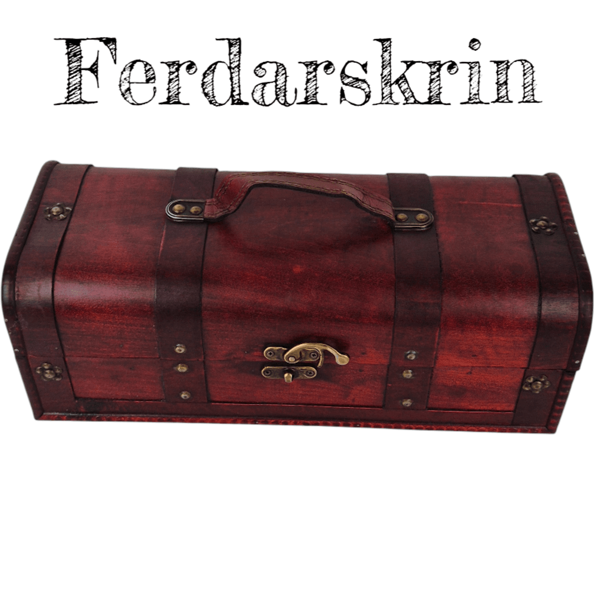 Ferdaskrin Brun 2024