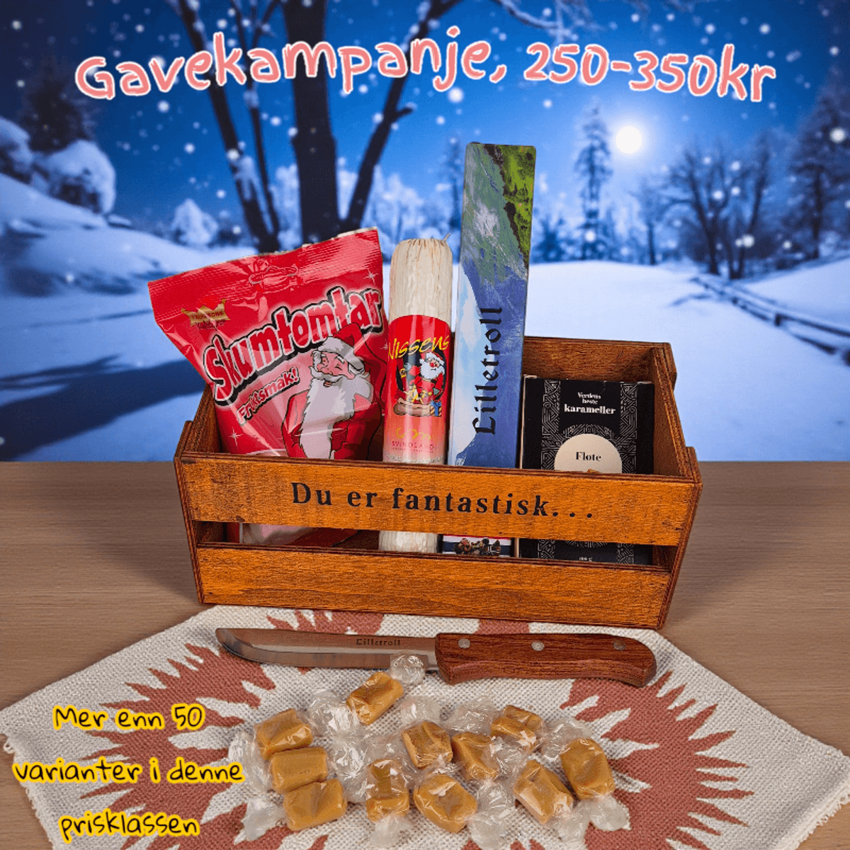 Gavekampanje2026 250-350kr #1